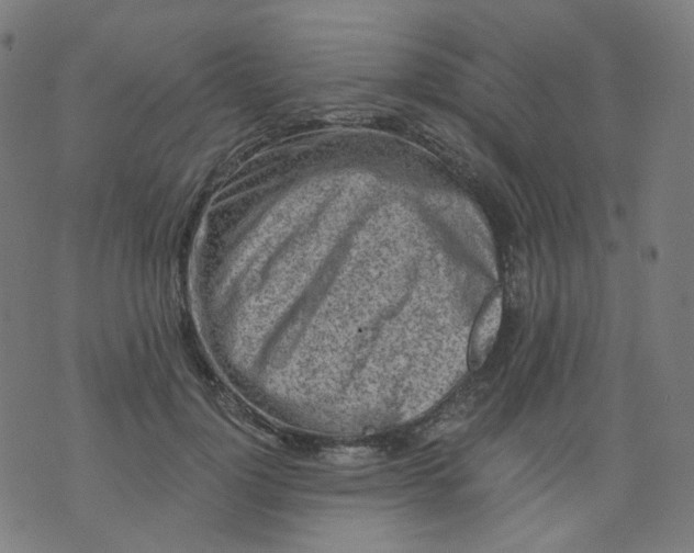 X0000074280748200609081826