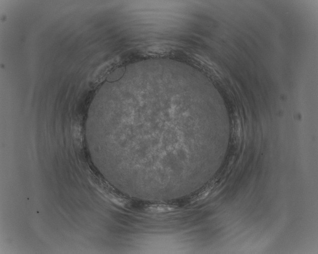 X0000074280749200609081826