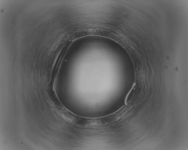 X0000074280750200609081826