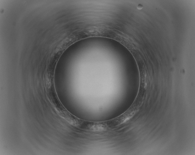 X0000074280751200609081826