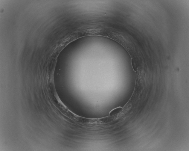 X0000074280752200609081826