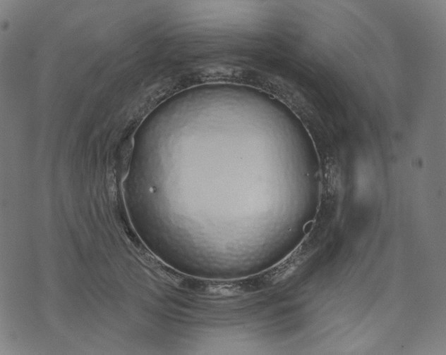 X0000074280753200609081826