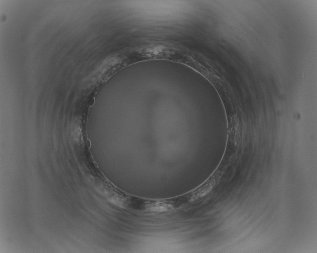 X0000074280754200609081826