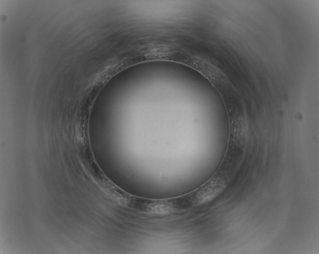 X0000074280755200609081826