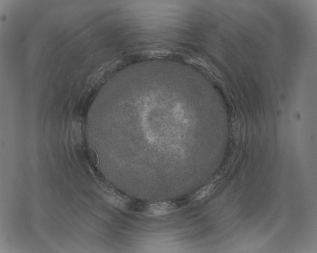 X0000074280757200609081827