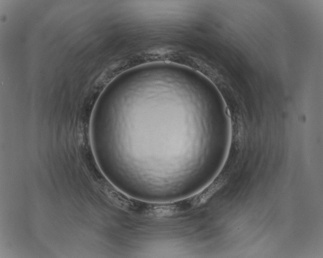 X0000074280758200609081827