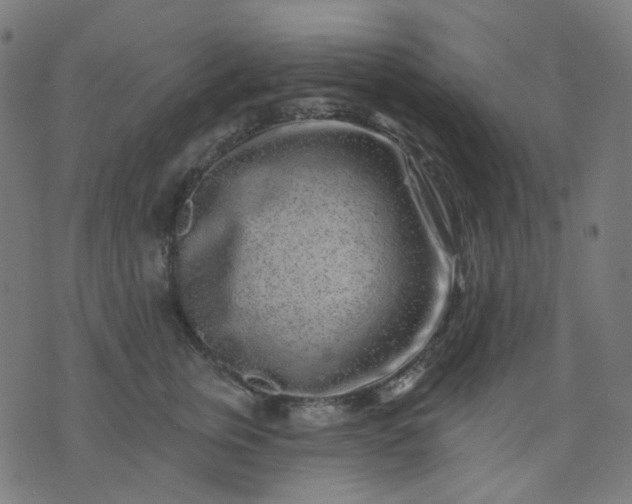 X0000074280759200609081827