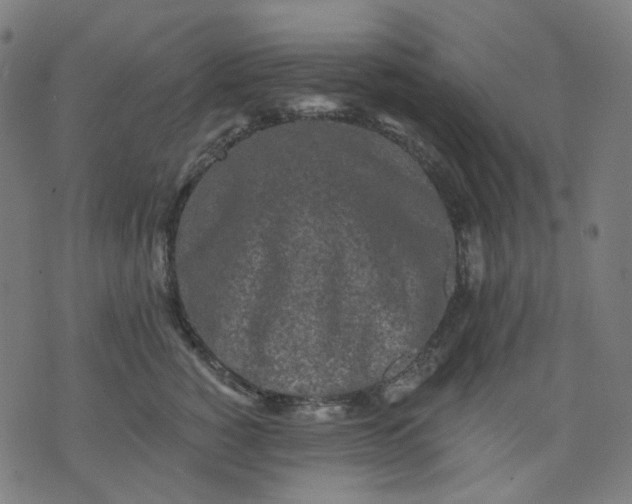 X0000074280760200609081827