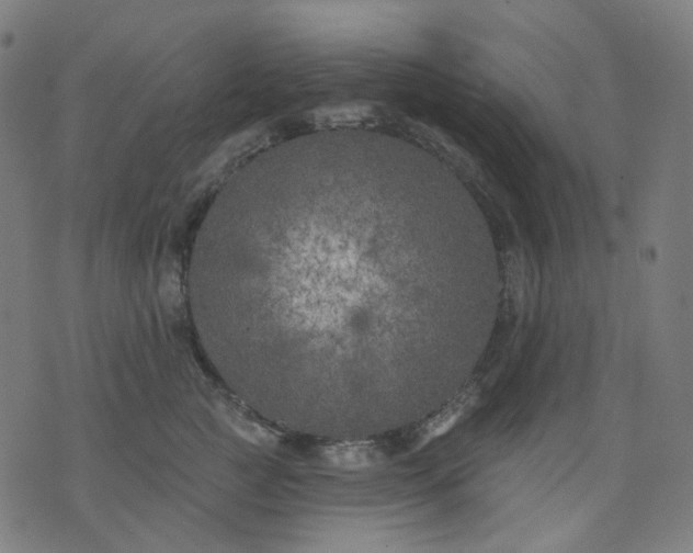 X0000074280761200609081827