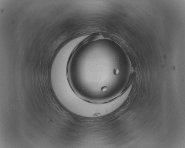 X0000074280762200609081827