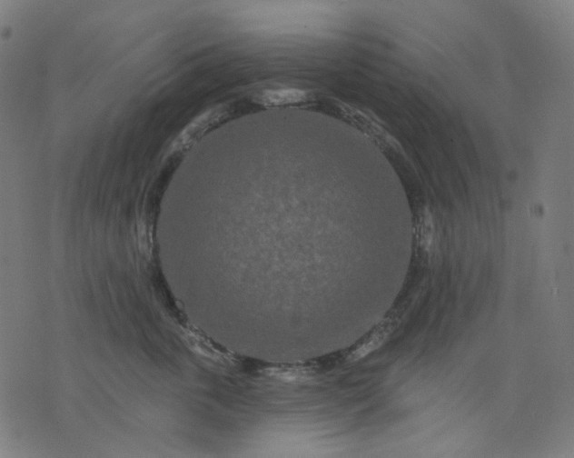 X0000074280763200609081827