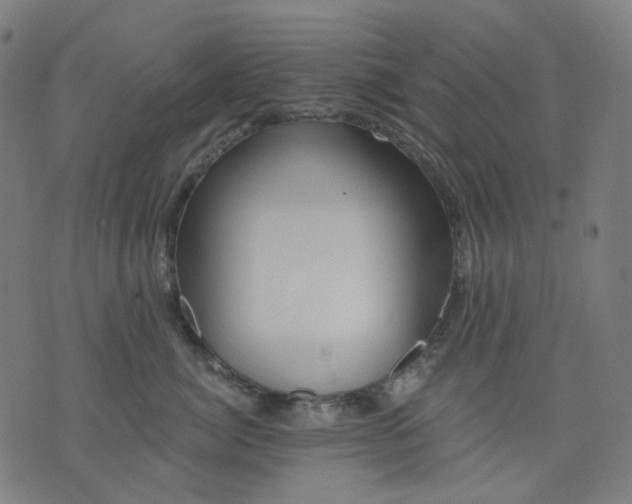 X0000074280764200609081827