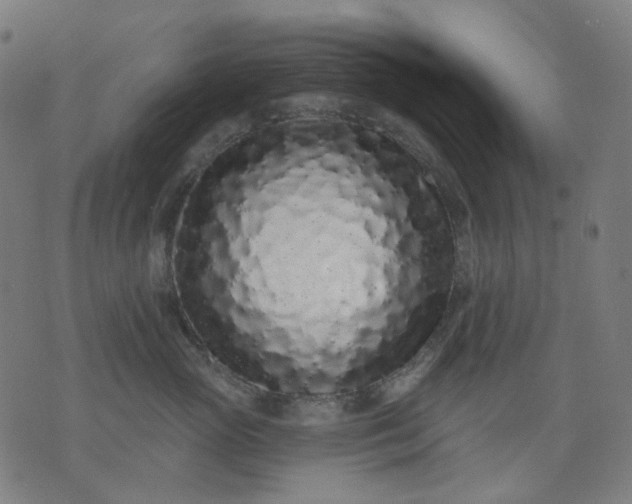 X0000074280765200609081827