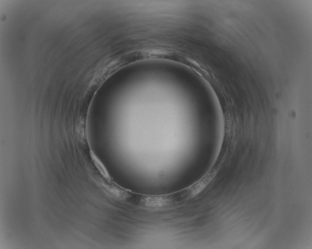 X0000074280766200609081827