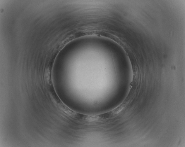 X0000074280767200609081827