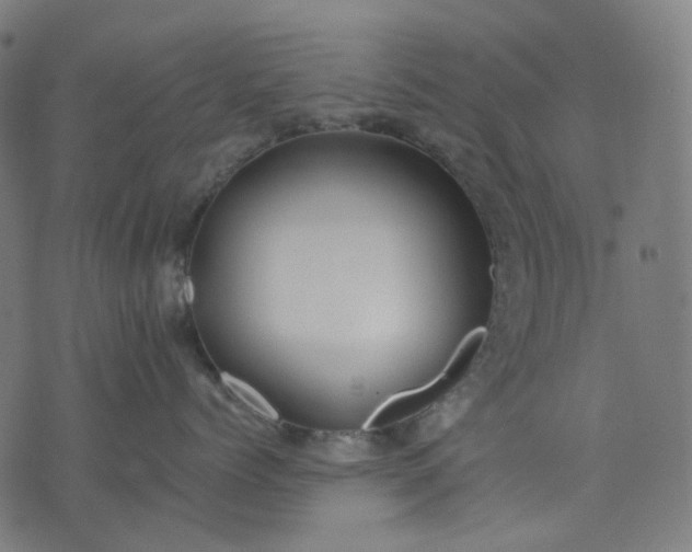 X0000074280768200609081827