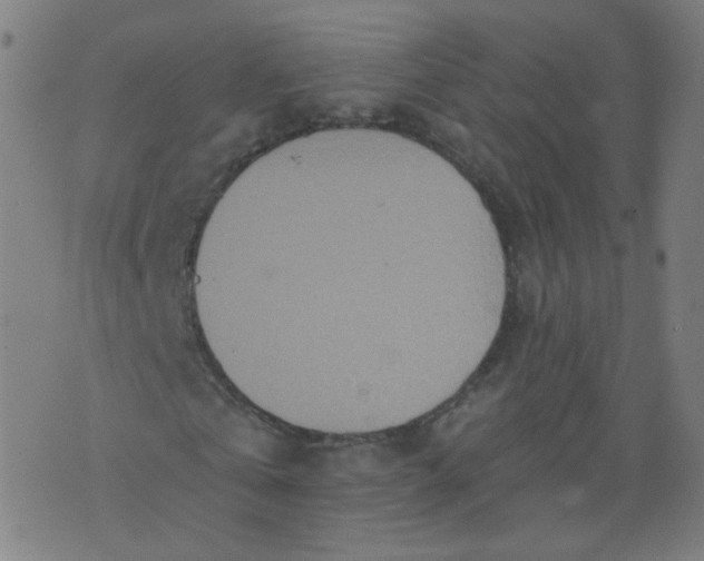 X0000074280769200609081826