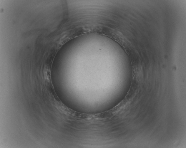 X0000074280770200609081826