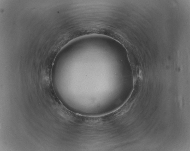 X0000074280771200609081826