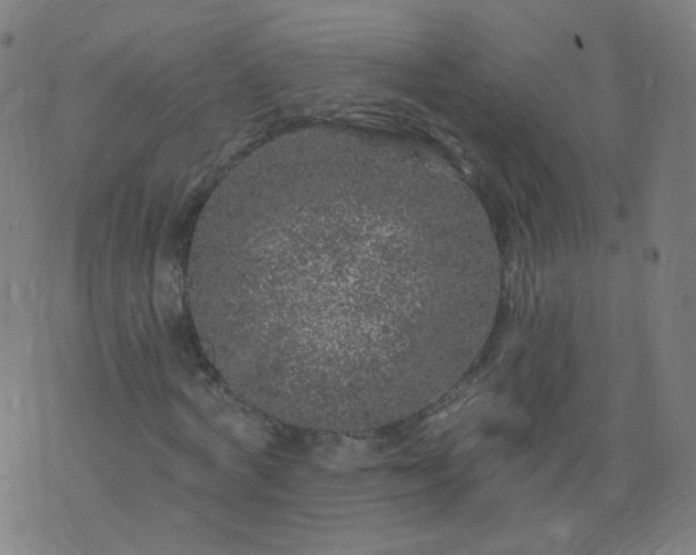 X0000074280772200609081826