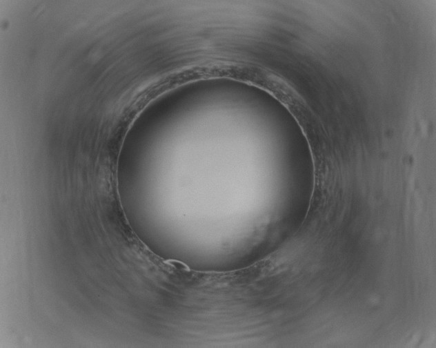 X0000074280773200609081826