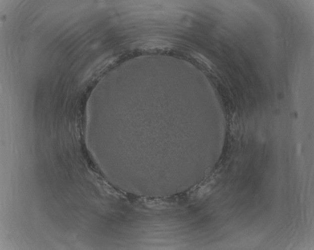 X0000074280774200609081826