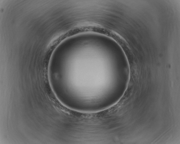 X0000074280775200609081826