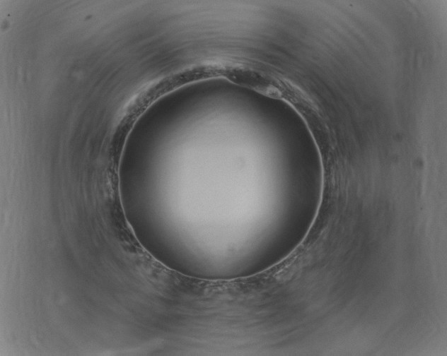 X0000074280776200609081826