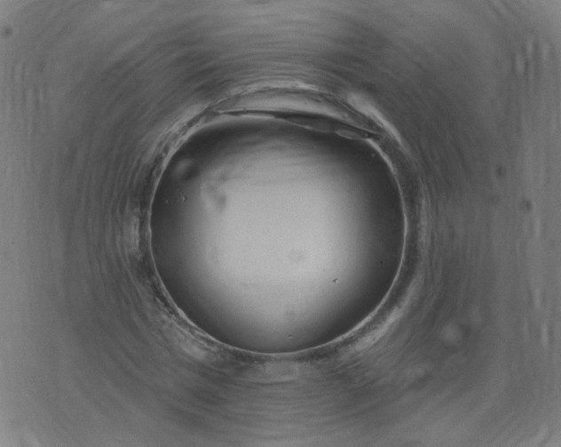 X0000074280777200609081826