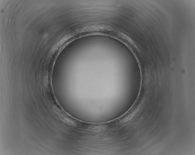 X0000074280778200609081826