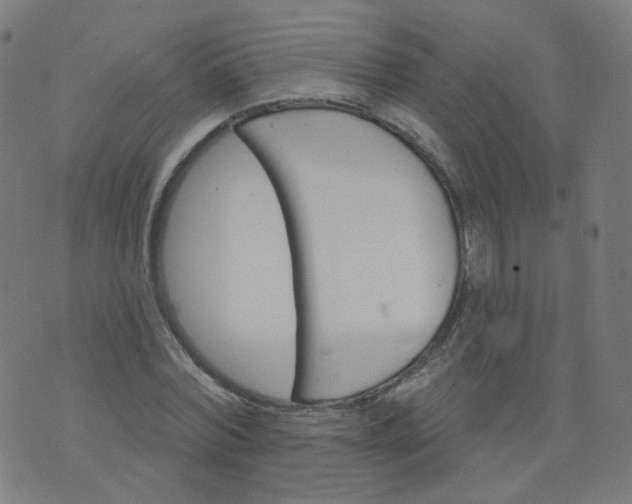 X0000074280780200609081826