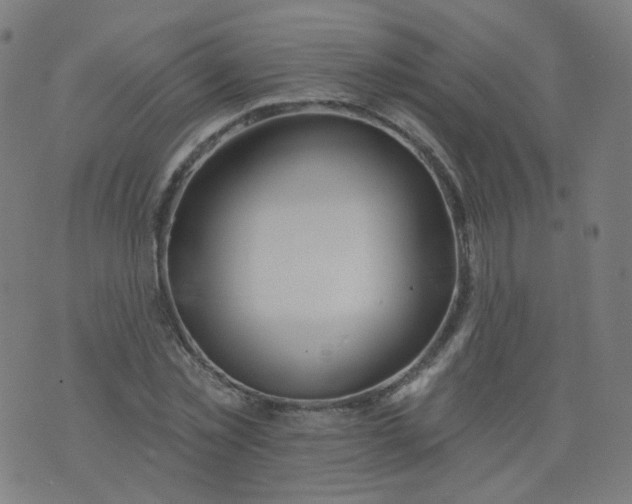 X0000074280781200609081826