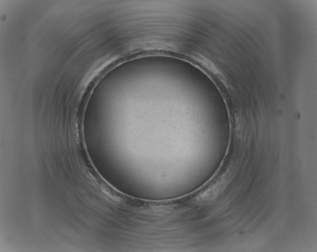 X0000074280782200609081826