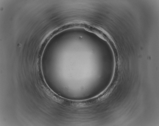 X0000074280783200609081826