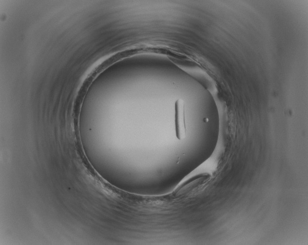 X0000074280784200609081826