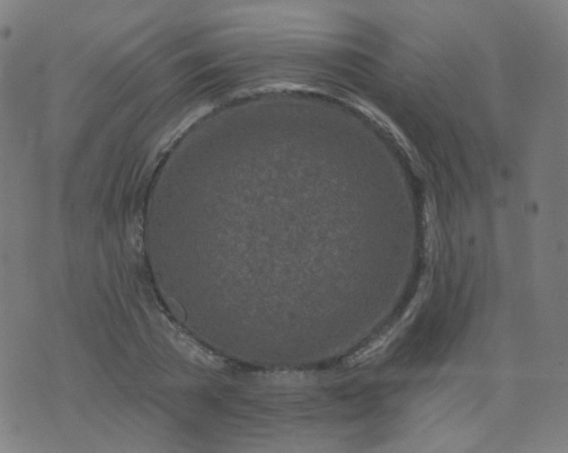 X0000074280785200609081826