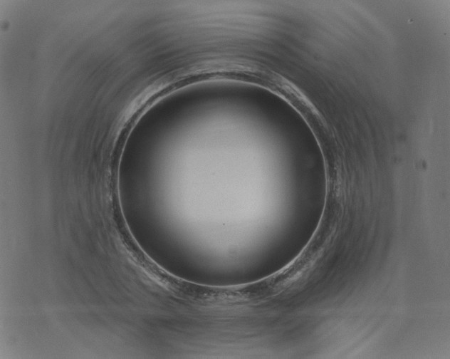 X0000074280786200609081826