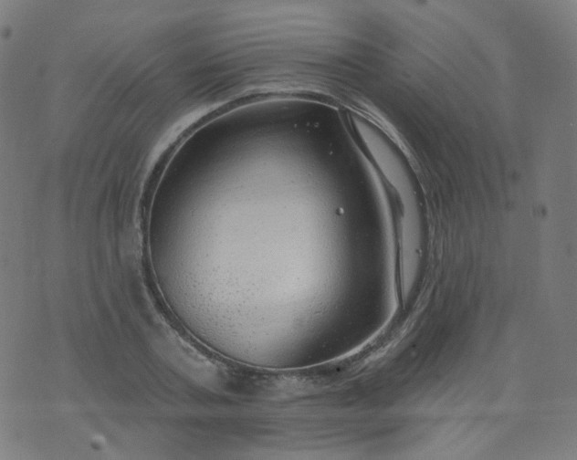 X0000074280787200609081826