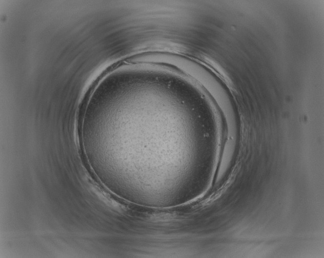 X0000074280788200609081826