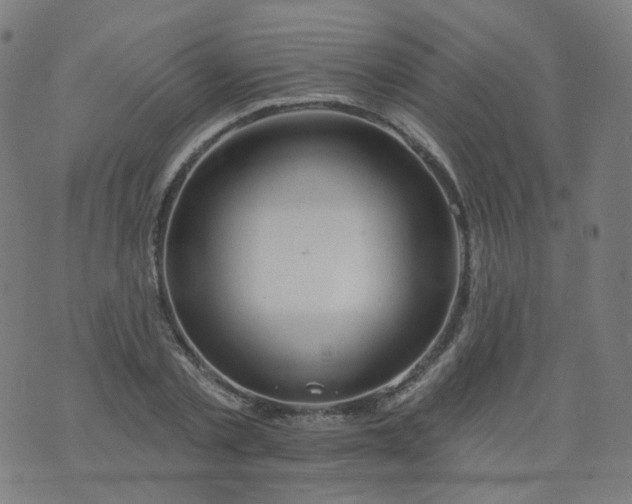 X0000074280789200609081826