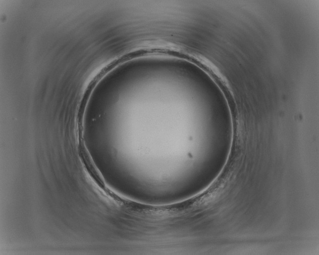 X0000074280791200609081826