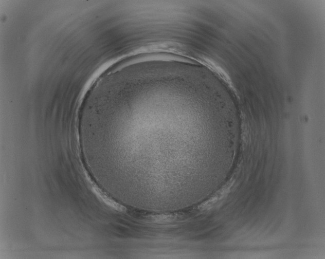 X0000074280792200609081826