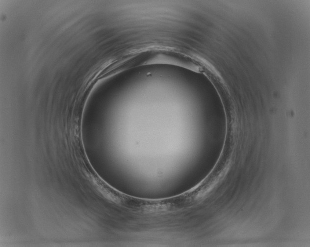 X0000074280793200609081826