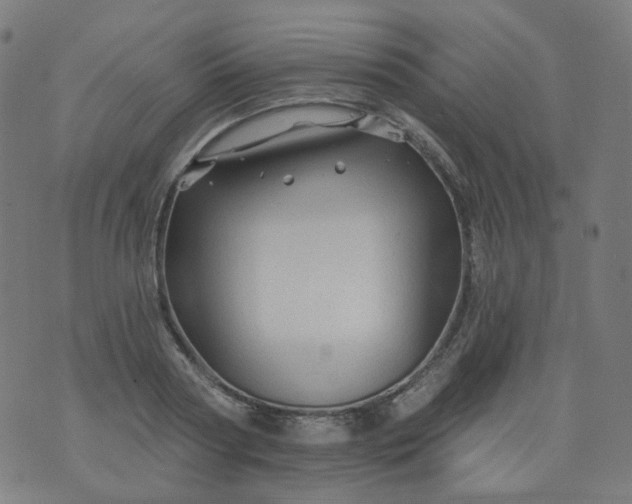 X0000074280794200609081826