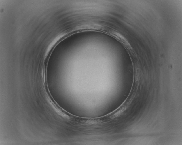 X0000074280796200609081825