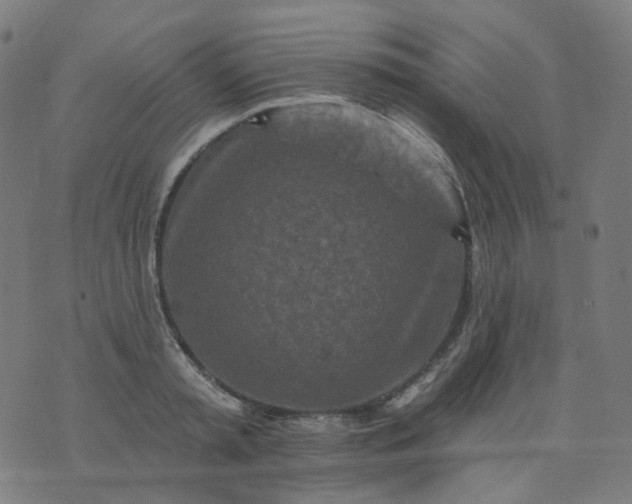 X0000074280797200609081825