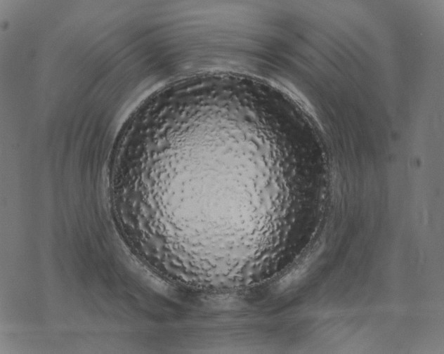 X0000074280798200609081825