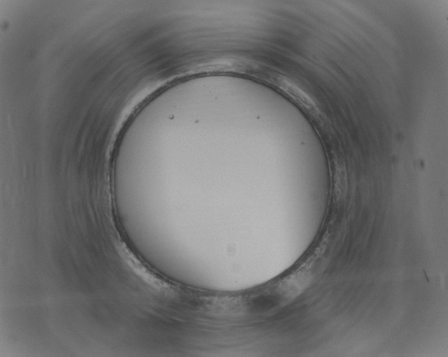 X0000074280800200609081825