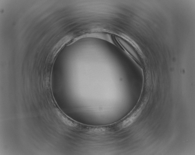 X0000074280801200609081825