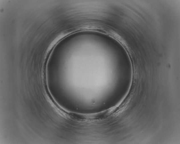 X0000074280803200609081825